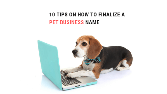 pet business name