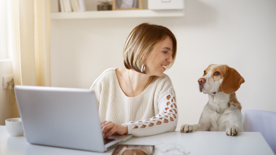 Online Pet Business Ideas